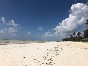 Beach - Esban dream hotels  (Paje)