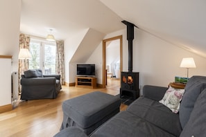 Fernseher, Kamin
