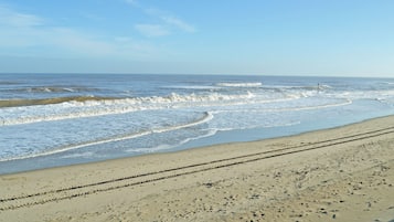 Pesca