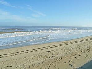 Fishing - 3 bedroom accommodation in Bacton (Bacton)