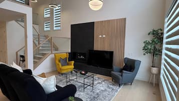 TV, fireplace, books
