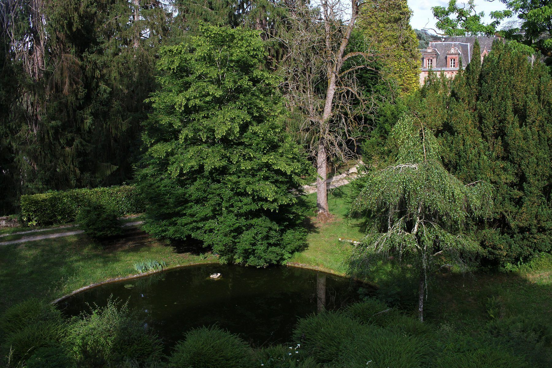A pond surrounded by dense greenery and trees, with a building in the background.