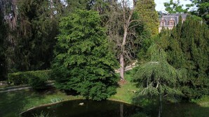 Un étang entouré d’une végétation luxuriante et d’arbres, avec un bâtiment en arrière-plan.