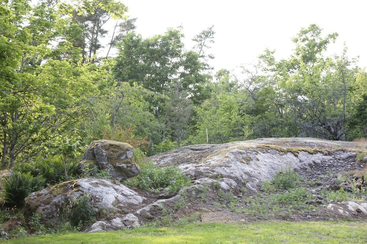 A natural landscape with a large rock formation, dense green foliage, and a grassy foreground.