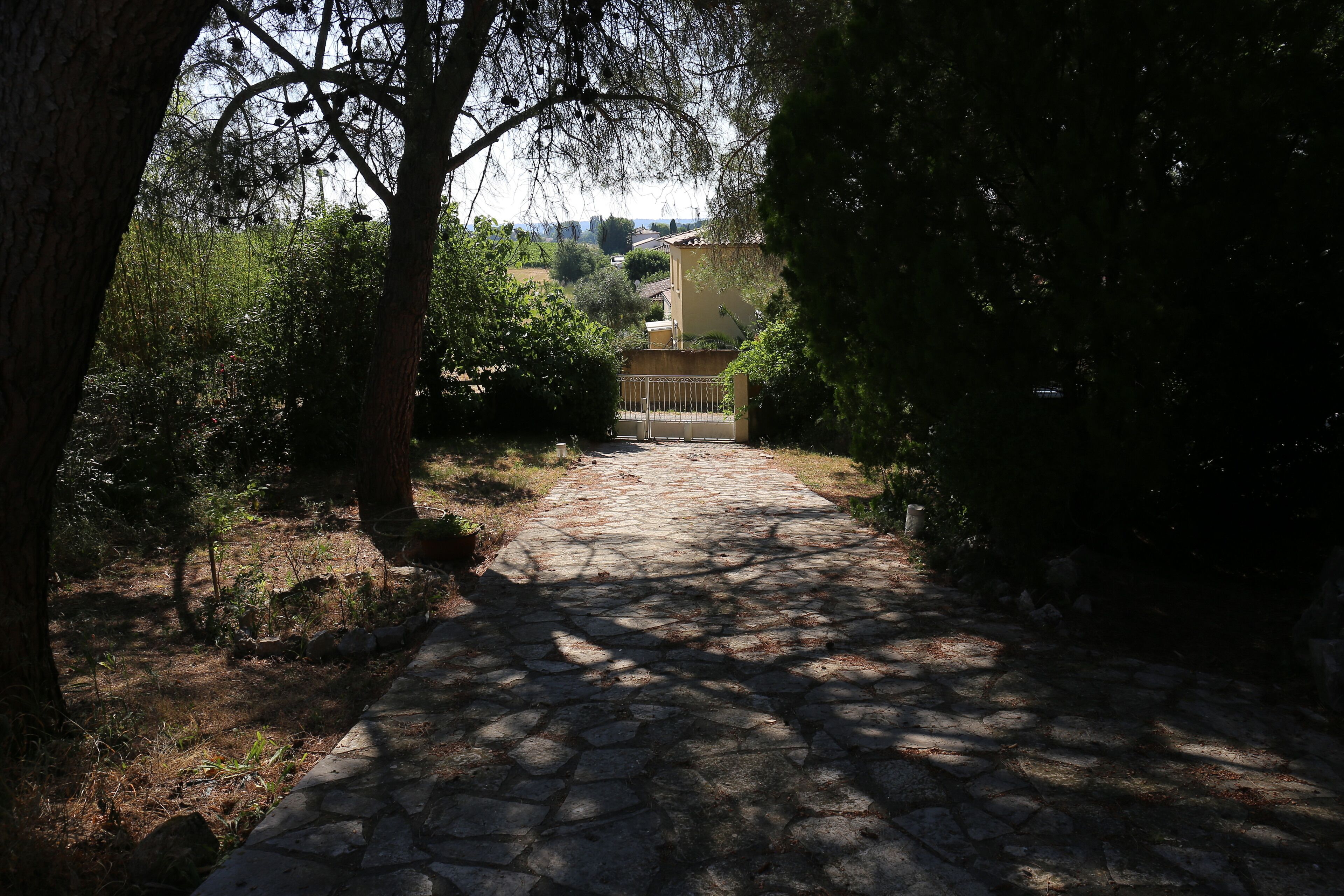 A stone pathway leading to a building surrounded by trees and shrubs.