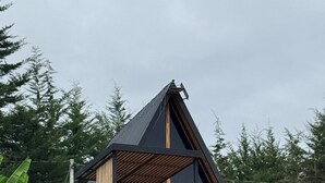 A modern house with a wooden deck and a metal roof.