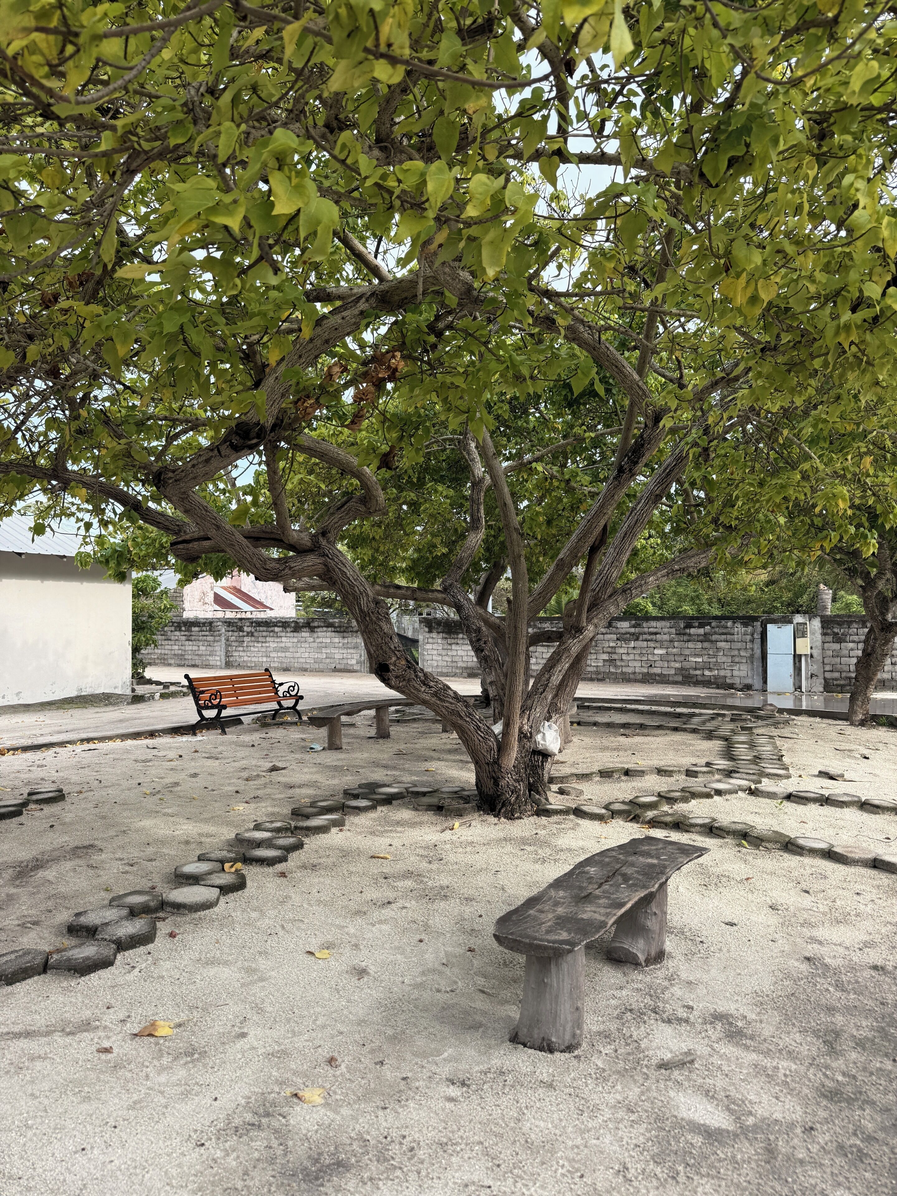Ein von Bäumen gesäumter Park mit Bänken und einem gepflasterten Weg.