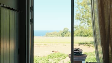 Suite Studio Supérieure, vue océan | Vue sur la plage/l’océan
