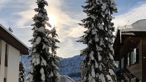 En snötäckt stig som kantas av höga, vintergröna träd, och som leder fram till en byggnad med ett sluttande tak och en träbänk i mitten.