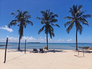 A beach with three palm trees, a volleyball net, and two lounge chairs.