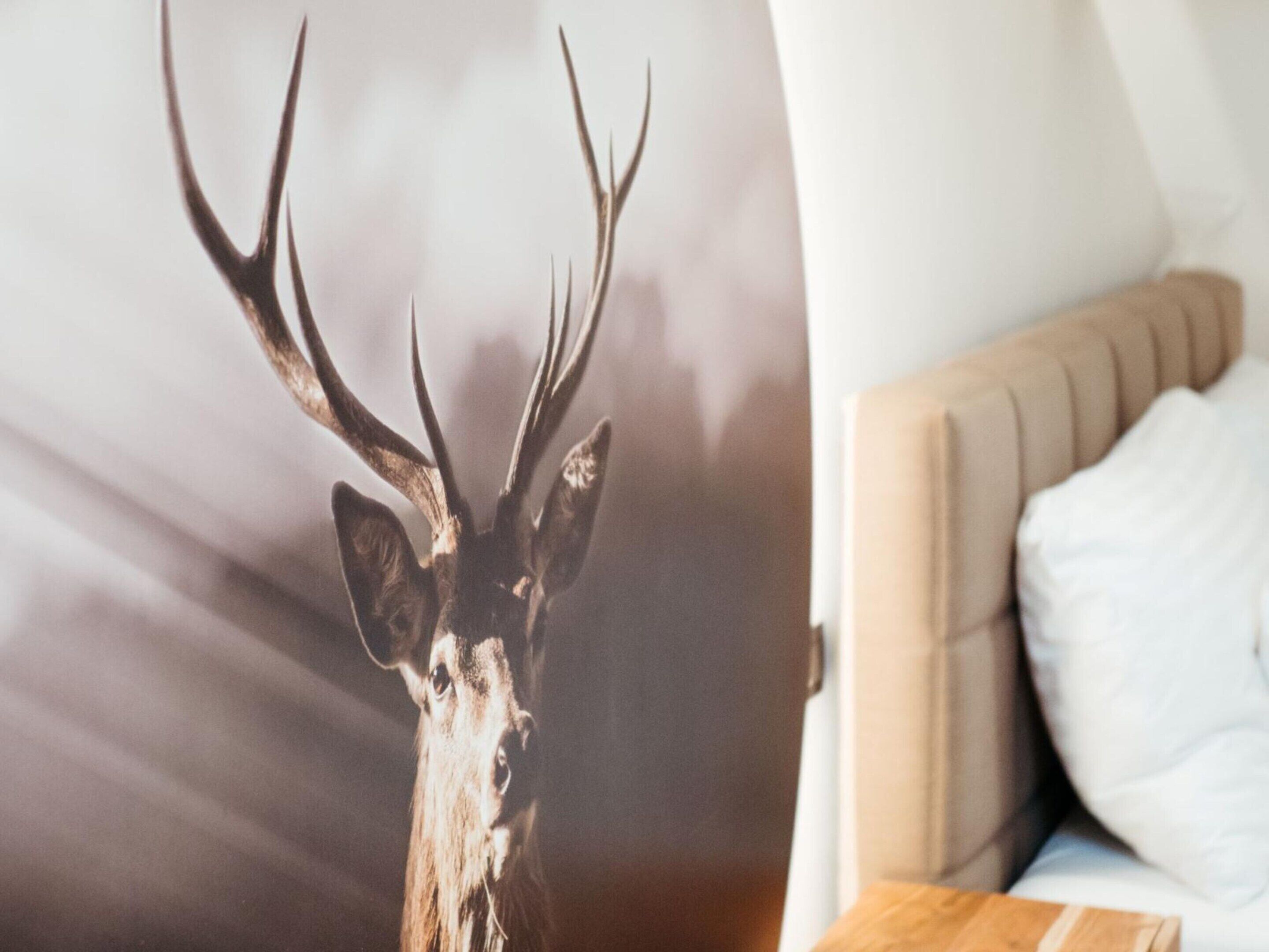 A room with a bed and a deer head decoration.