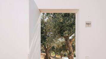 Deluxe Studio, Garden View | Property grounds