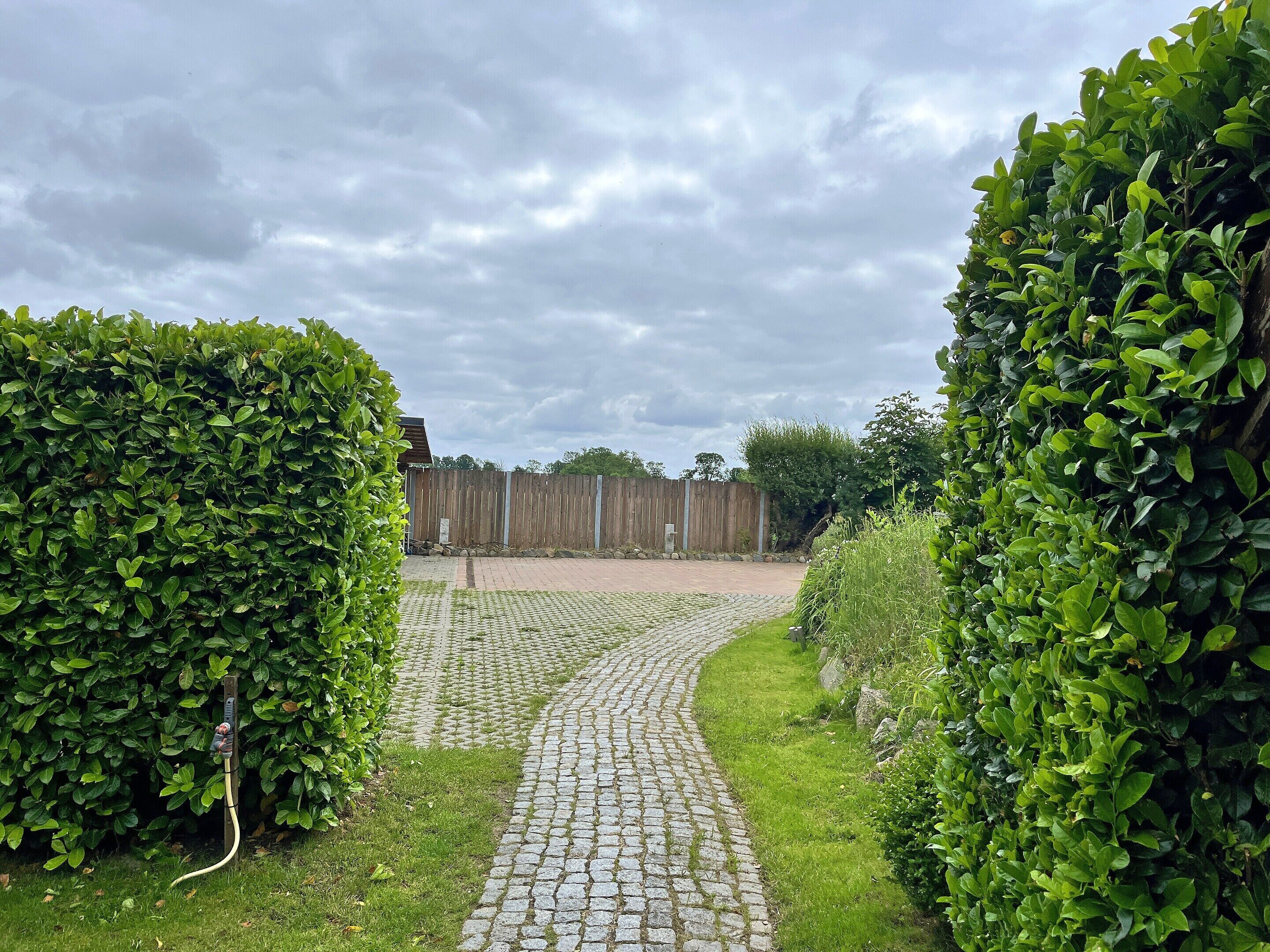 A paved pathway leading to a wooden fence, surrounded by well-maintained hedges.