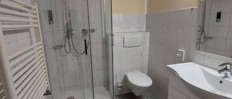 Un baño con ducha acristalada, inodoro y lavabo con espejo.