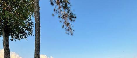 Vista de un paisaje montañoso con cielo despejado, destacando campos en terrazas y un pico de montaña lejano.