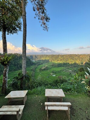 Vista de un paisaje montañoso con cielo despejado, destacando campos en terrazas y un pico de montaña lejano.