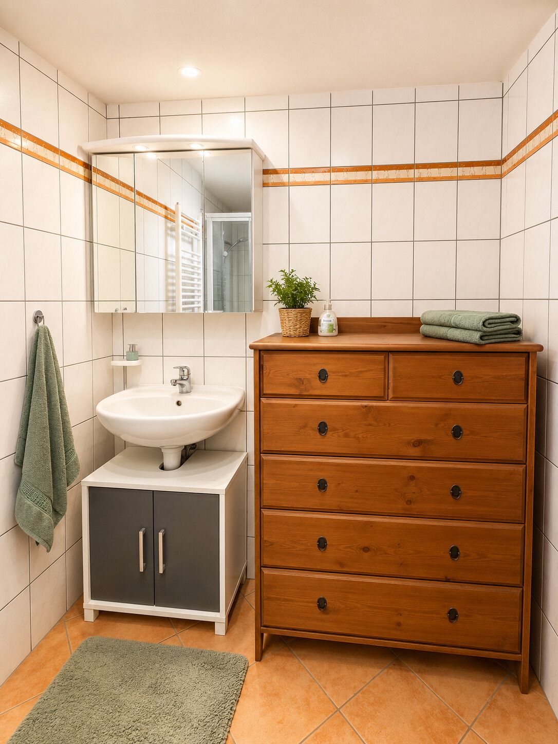 Dusche, Toilettenpapier