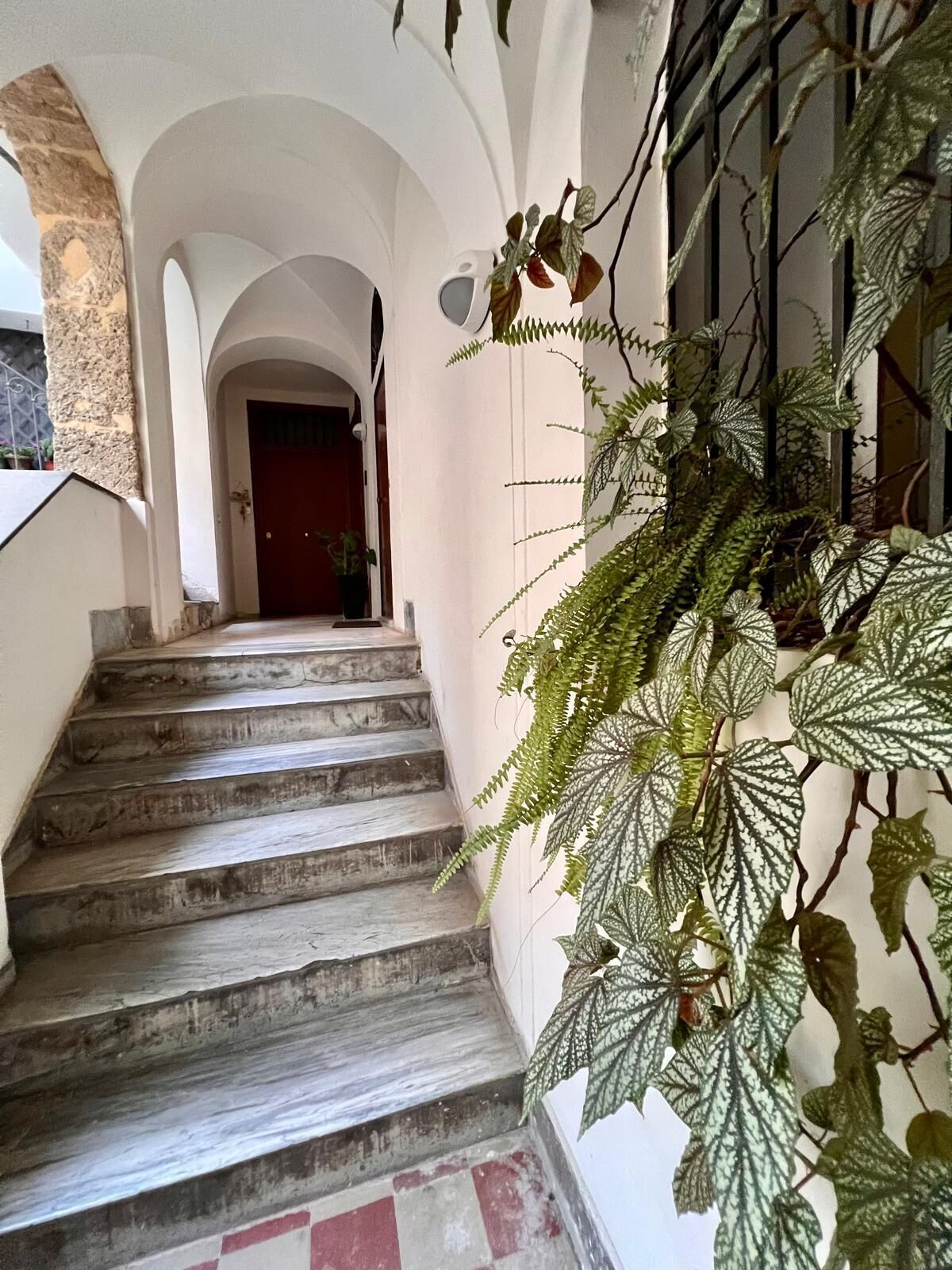 A staircase with a stone wall on one side and a plant on the other.