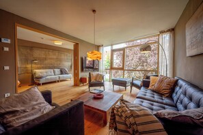 TV, fireplace - Design House with Views over Quedlinburg (Quedlinburg)