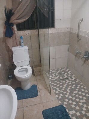 Room, 1 Bedroom, Smoking, Patio | Bathroom - Room-tranquil Guest Room in Randburg wit (Johannesburg)