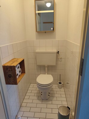 Een haardroger, zeep, toiletpapier