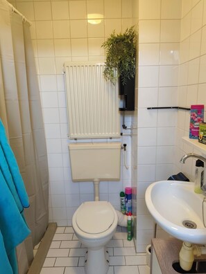 Secador de pelo, jabón, papel higiénico