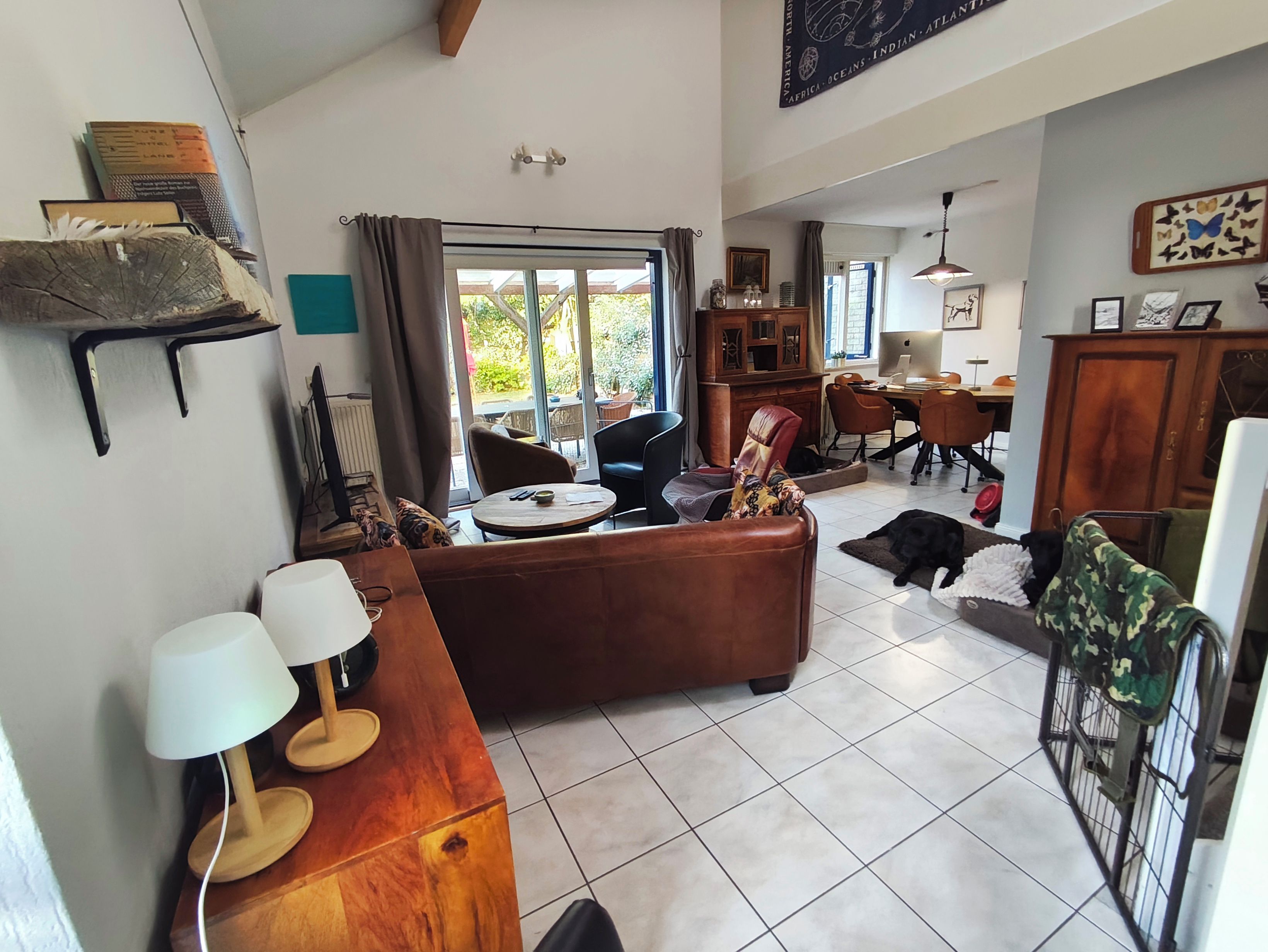 Un grand salon comprenant un canapé, des fauteuils, une table à manger et un chien.