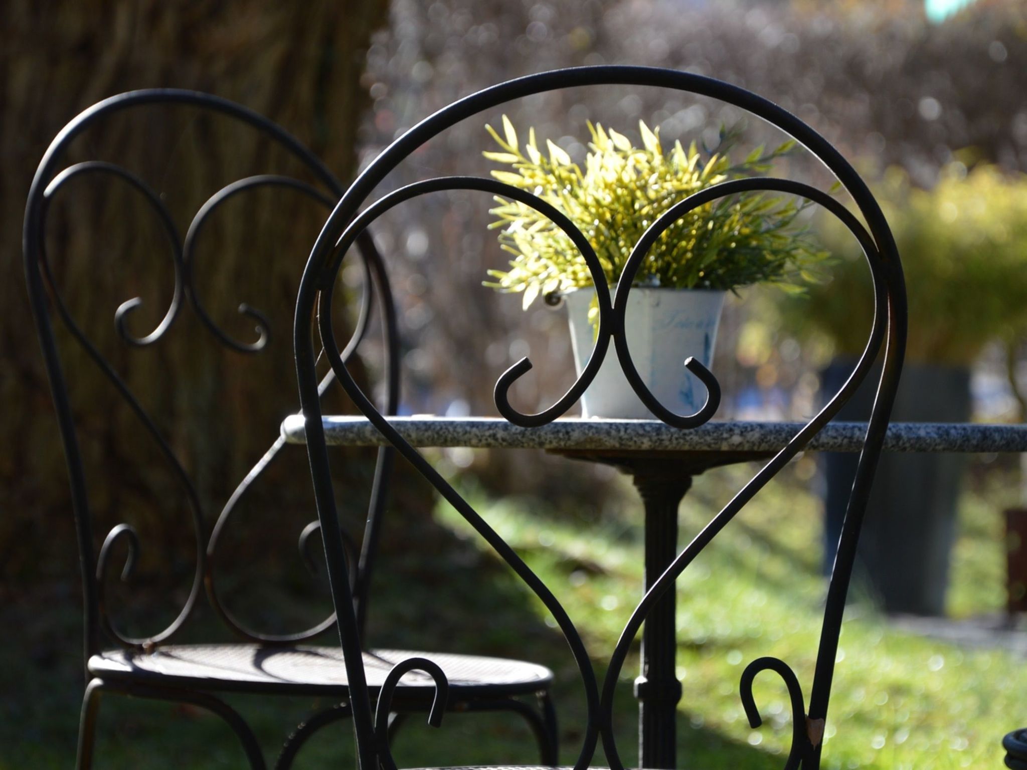 A metal chair with a heart-shaped backrest and a table with a potted plant.