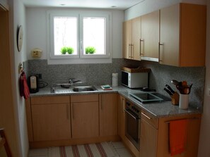 Fridge, microwave, oven, dishwasher - Rothmund, (Bad Ragaz), by Interhome (Bad Ragaz)