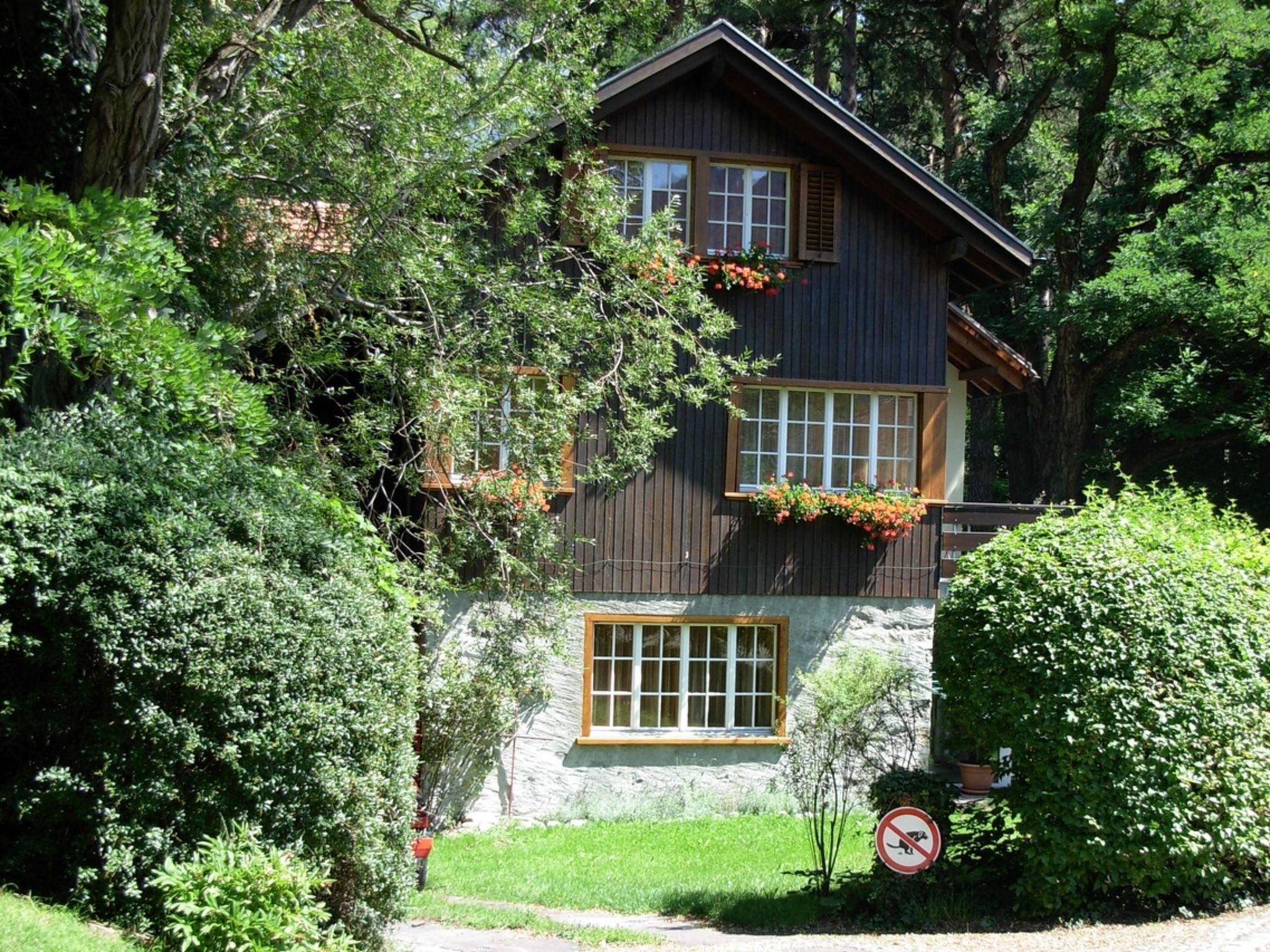 Esterni
