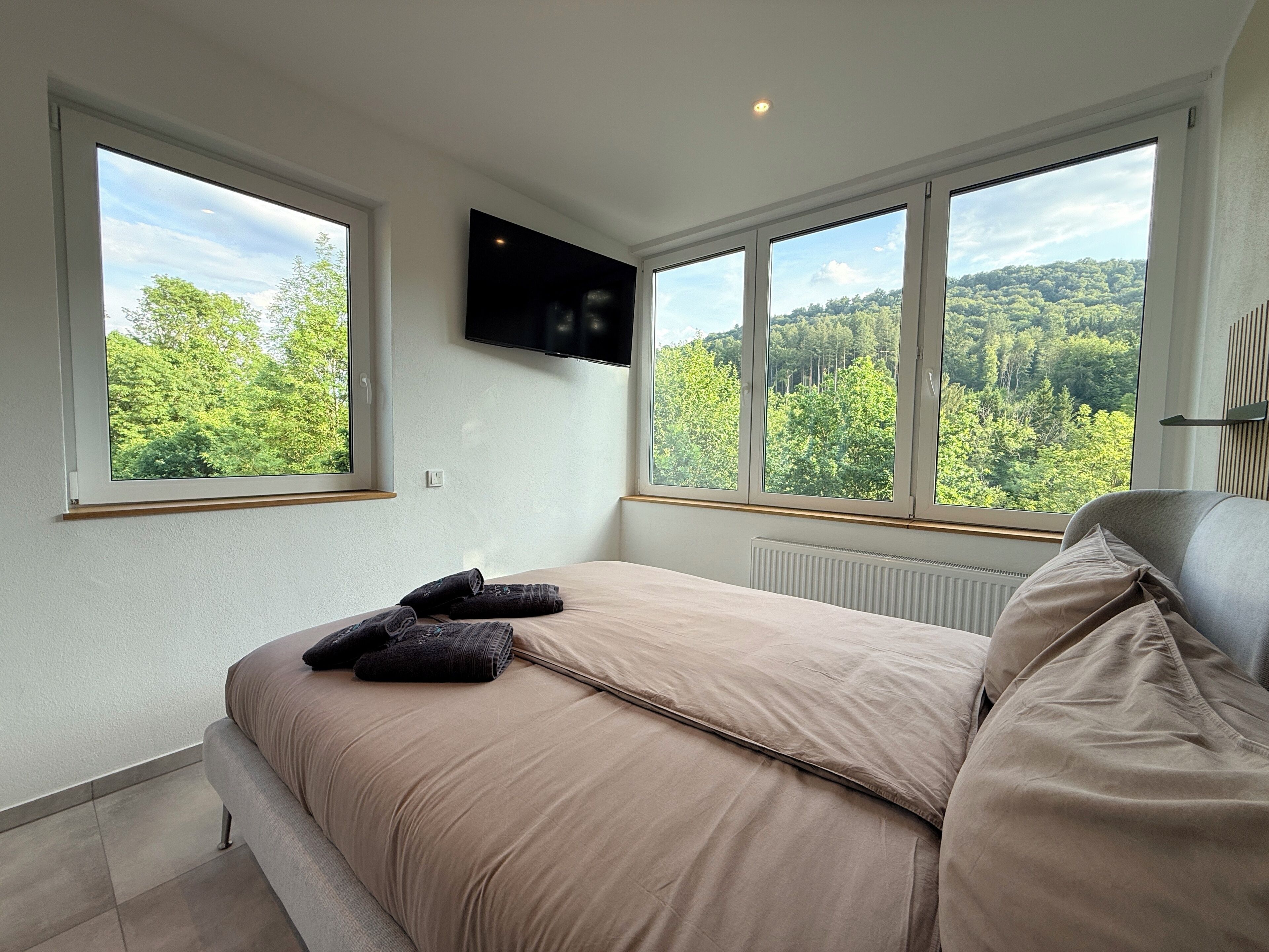 Deluxe Double Room, 1 Queen Bed, Mountain View | Desk, free WiFi