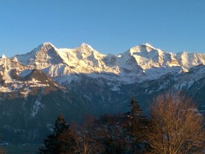A mountain range with snow-covered peaks and coniferous trees in the foreground. - Uf dr Braue Appartement/Fewo 6-Bettwohnung by Interhome (Beatenberg)