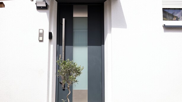 Une entrée moderne avec une porte sombre, une petite plante en pot et une boîte aux lettres.