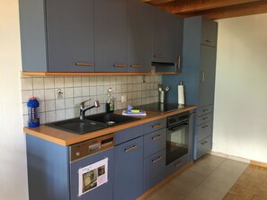 Uma cozinha com armários cinza, uma lava-louças Bosch e um forno embutido.