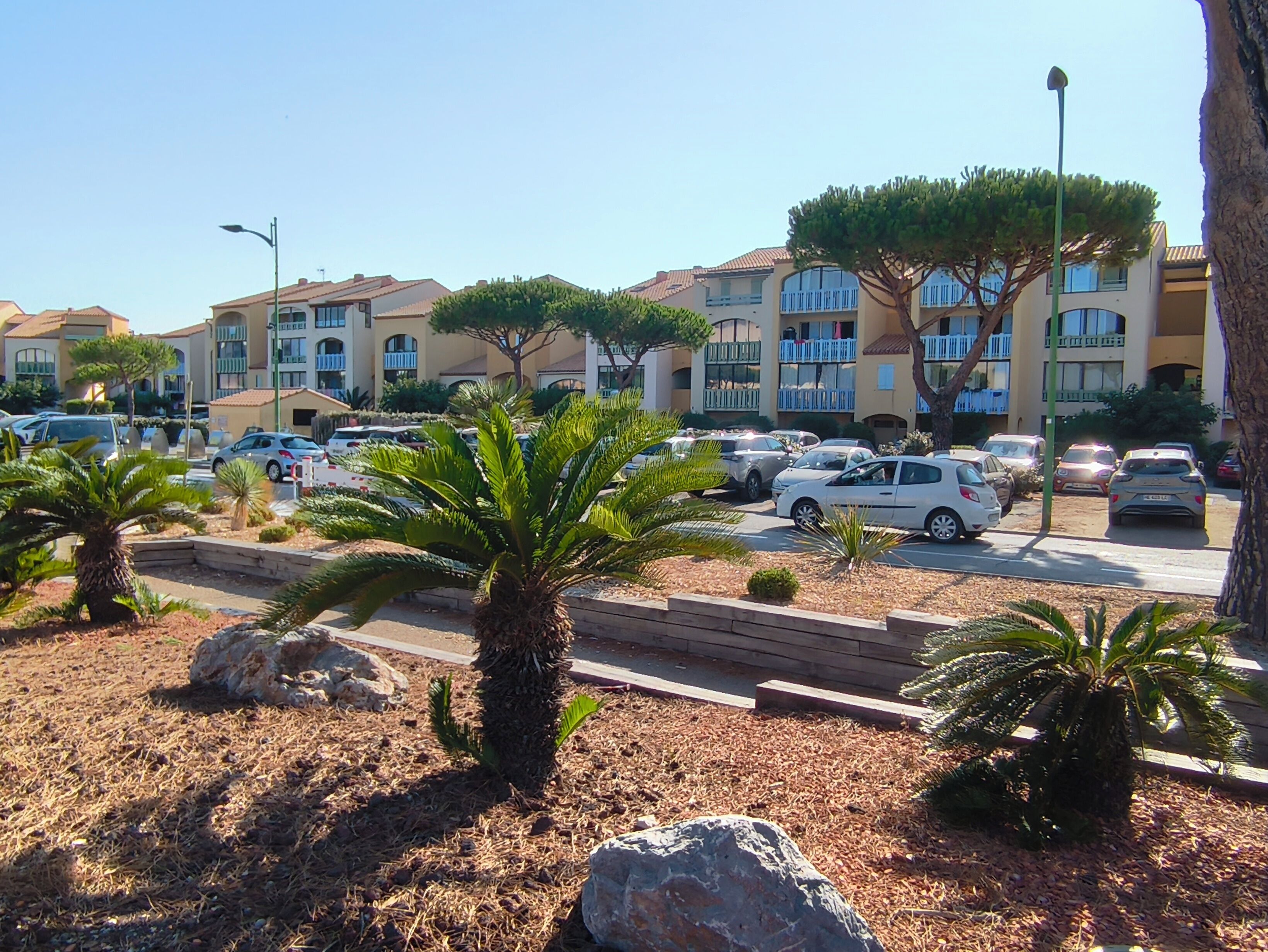 Un estacionamiento con varios autos, una palmera y un edificio con balcones al fondo.