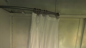 A bathroom with a shower curtain, a toilet, and a window.