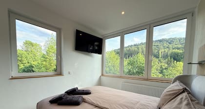S1 - Sauerblick - Queen-size bed with bathroom in Bollendorf, right on the river