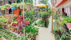 House | Property grounds - Classic Cherry City Cottage (Guwahati)