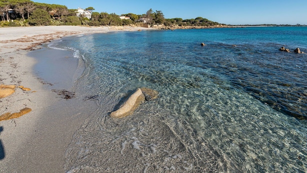 Una spiaggia con acque limpide e poco profonde, una battigia sabbiosa e un edificio in lontananza.