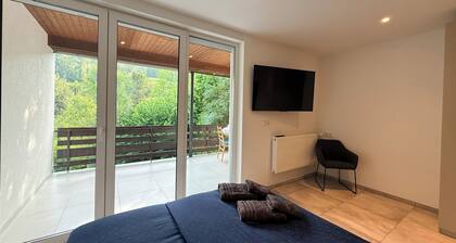 S3 - Sauerblick - Queen-size room with bathroom and terrace in Bollendorf, right on the river