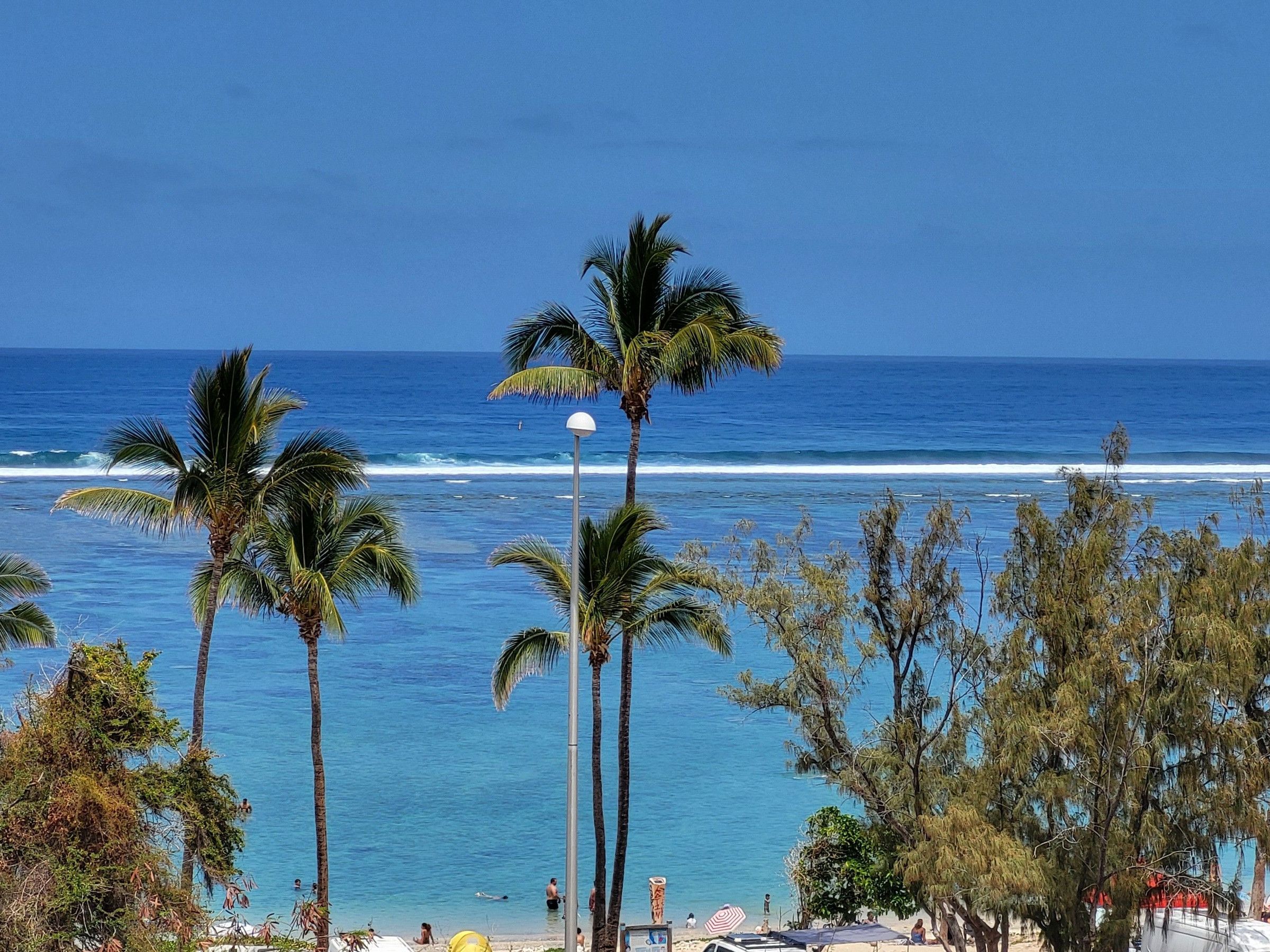 A beach with palm trees and a clear blue sky.