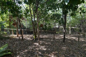 Zona boscosa con cerca de madera, árboles y suelo cubierto de hojas secas.