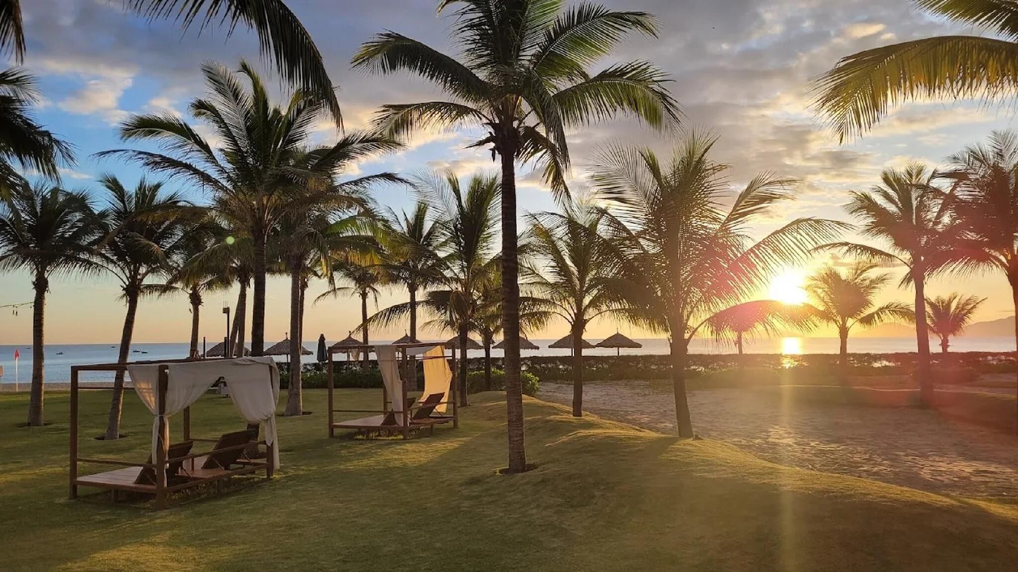 A beach with palm trees, sun loungers, and umbrellas.
