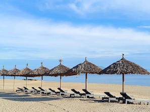 Una playa con filas de tumbonas y sombrillas de paja.