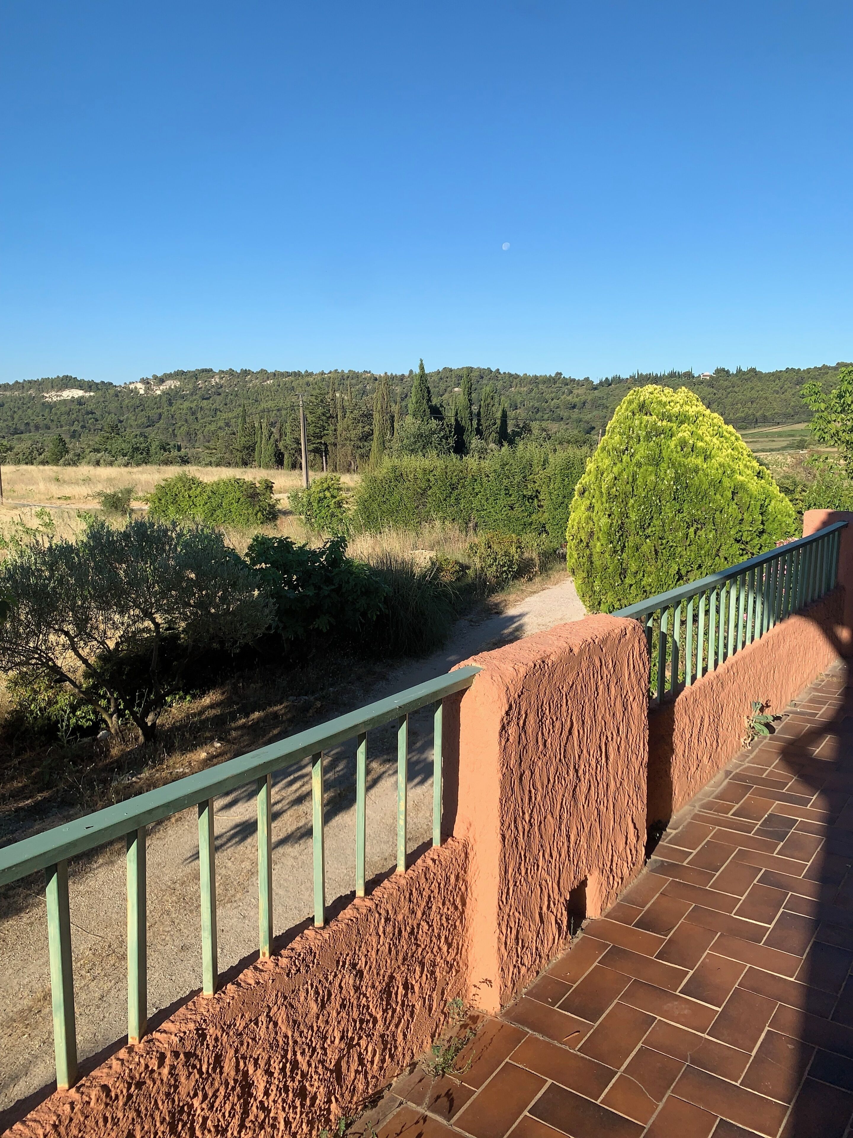A brick pathway with a green metal railing, leading to a lush green area with trees and a hill in the background.