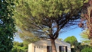 A small building with a white exterior, surrounded by greenery and a large tree. - Dolus d'Oléron House - Sleeps 7 - Spacious and peaceful, ideal for a family vacation (Dolus-d'Oléron)