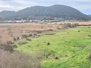 Imagen general