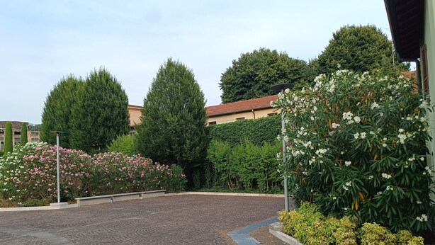 Ein gepflasterter Innenhof mit Kieselsteinmuster, umgeben von üppiger Vegetation und blühenden Pflanzen.