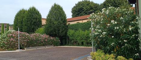 Une cour dallée, dont le sol est pavé de pierres formant un motif, entourée d’une végétation luxuriante et de plantes en fleurs.