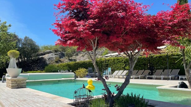 Un área de piscina con vista despejada al agua, un camino de piedra y una fila de sillas de descanso.